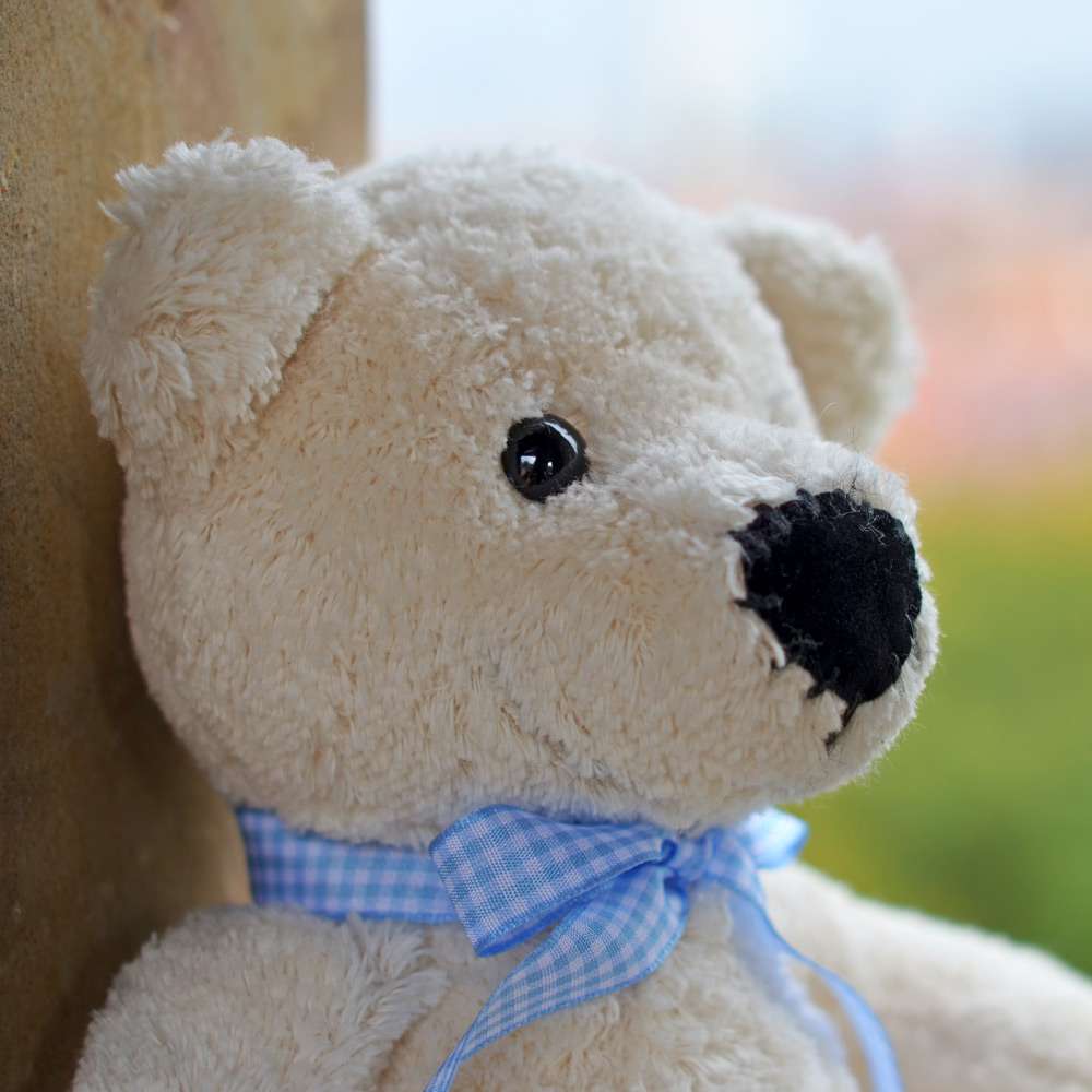 Bio Teddy Bommel von Steiner Kuscheltiere mit schwarzen Knopfaugen