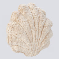 Senger_Naturwelt_Kuscheltier_Muschel_klein_Y21065_03