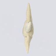 Senger_Naturwelt_Kuscheltier_Seestern_klein_Y21067_02