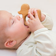 bio-spielzeug_lotes_toys_holzrassel_ente_04
